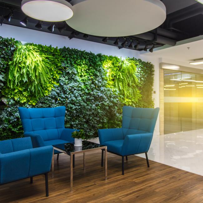 Akoestische plafonds